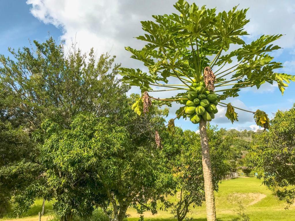 Fazenda Paisagem Chales Серра-Негра Экстерьер фото