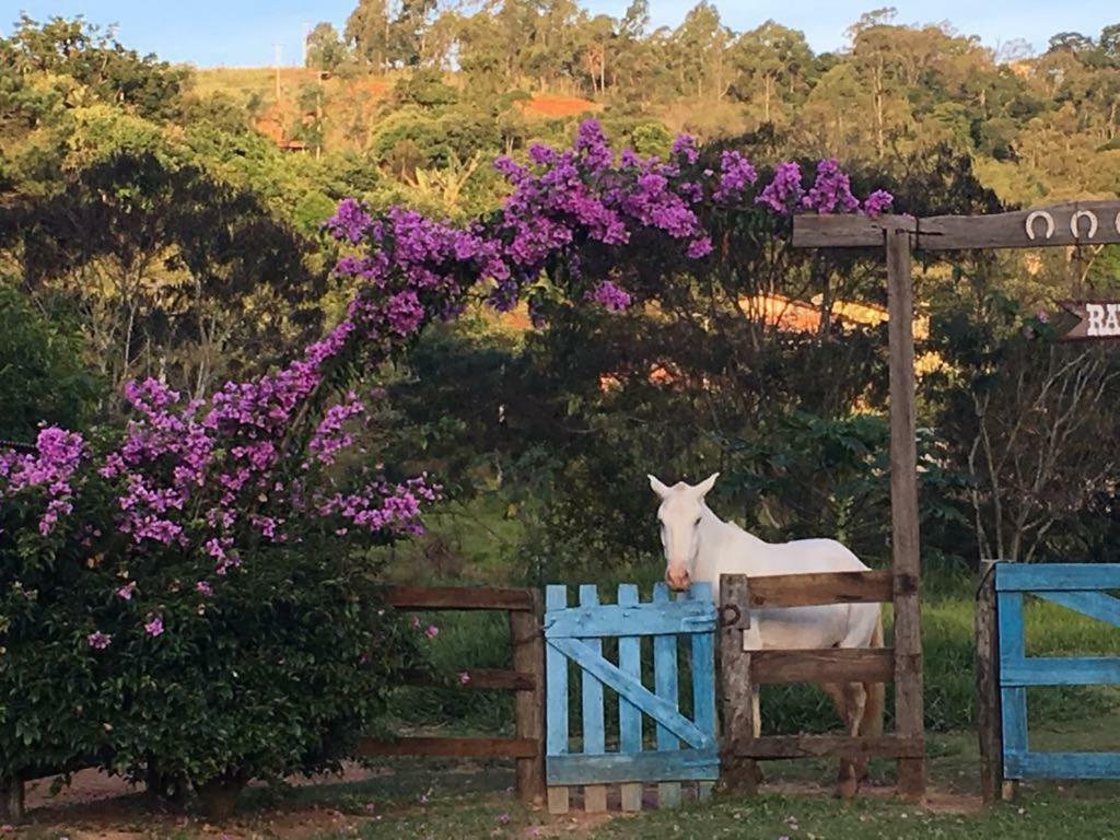 Fazenda Paisagem Chales Серра-Негра Экстерьер фото